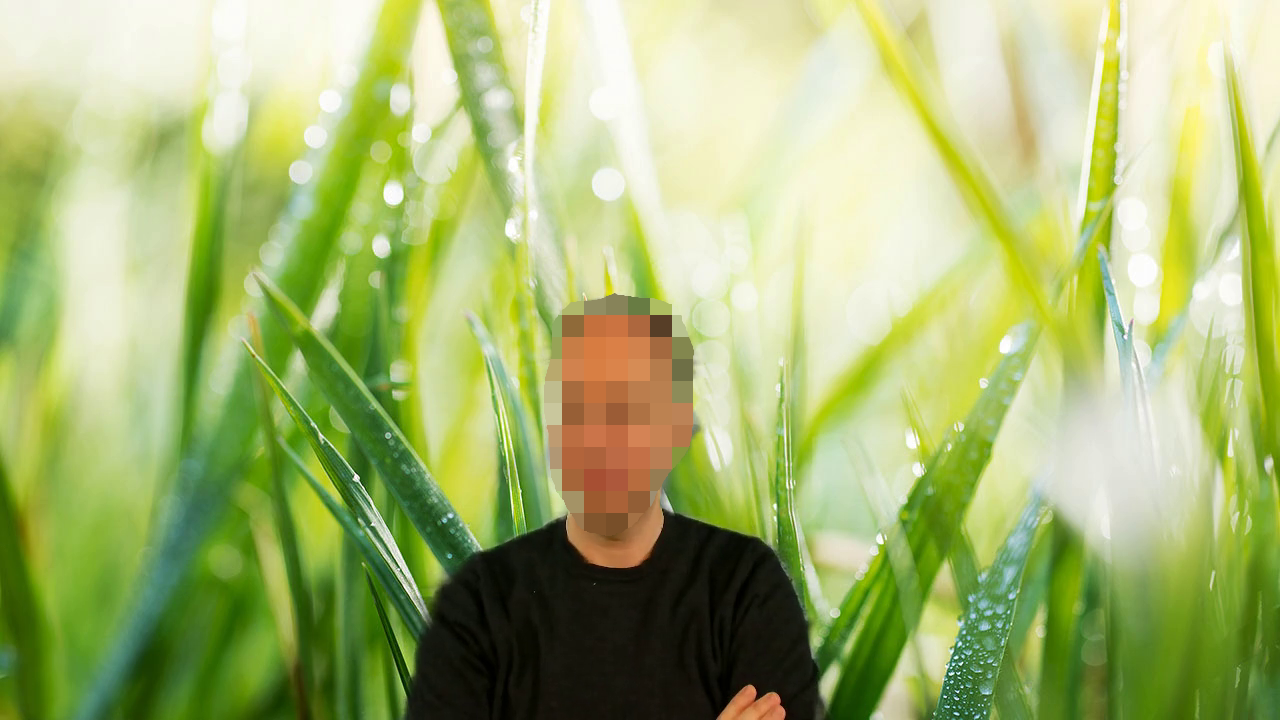 Attacking privacy leaks in virtual backgrounds